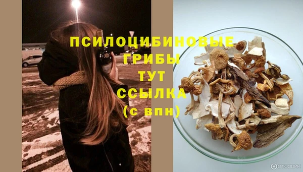 прущая мука Саяногорск