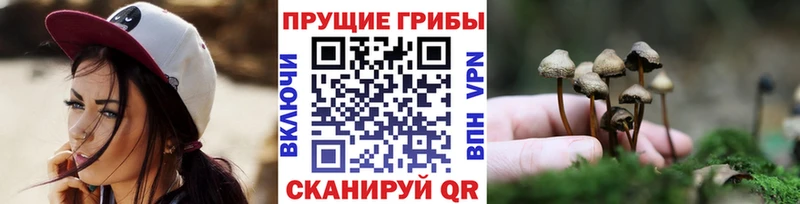 Псилоцибиновые грибы Psilocybe  Зарайск 